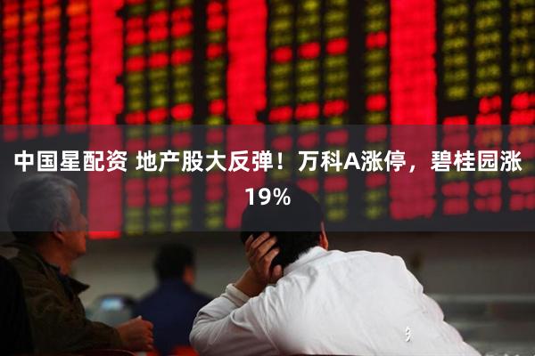 中国星配资 地产股大反弹！万科A涨停，碧桂园涨19%